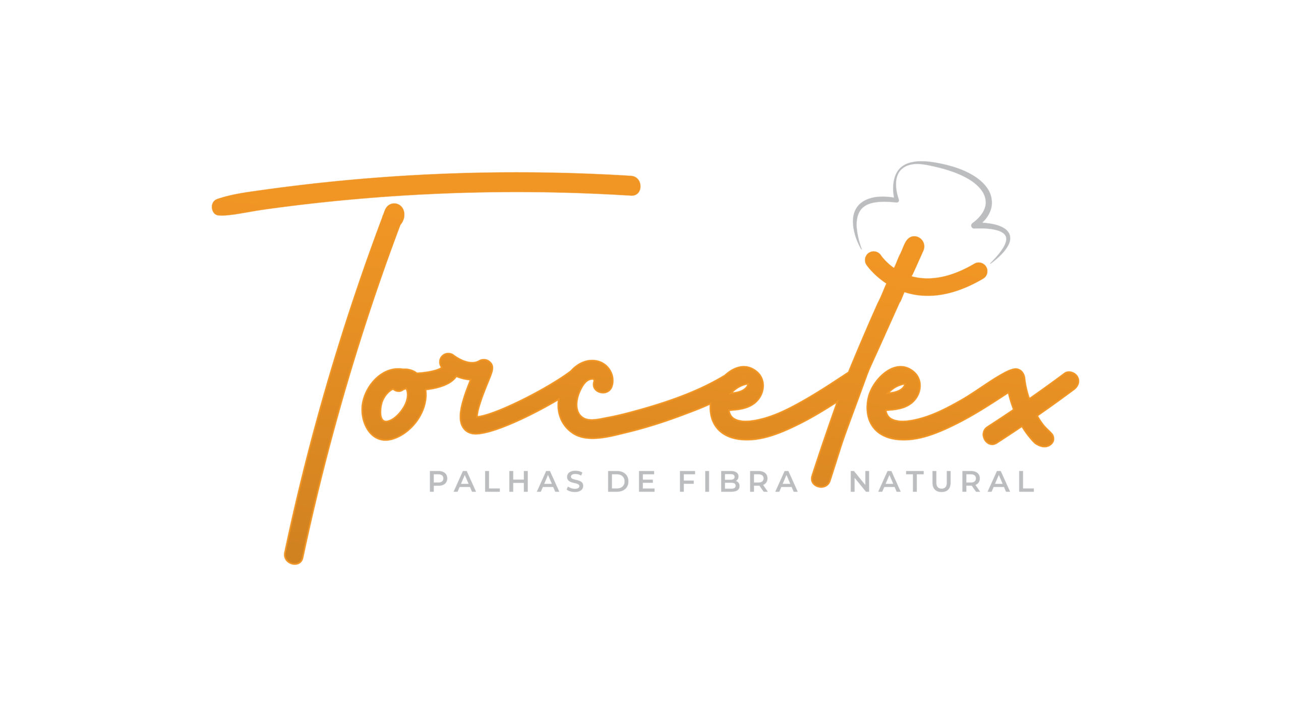 Torcetex